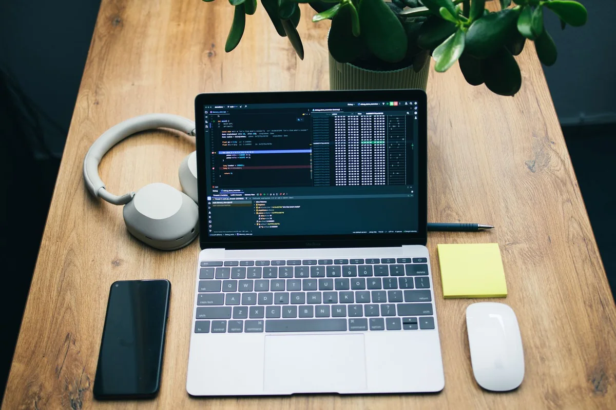 Laptop and everyday accessories on a wooden desk beside a plant.